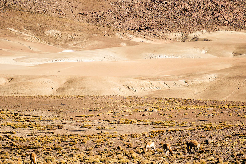 Vila Machuca - Deserto do Atacama