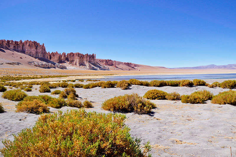 Salar de Tara - Atacama
