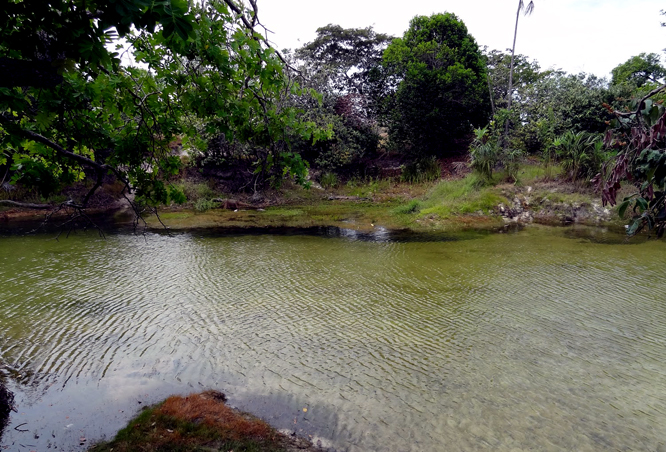 igarape-agua-boa