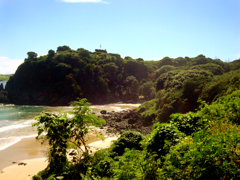 Praia do Meio  - Praias de Fernando de Noronha