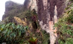 monte-roraima-subida12