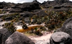 monte-roraima-subida16