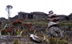 monte-roraima-topo25