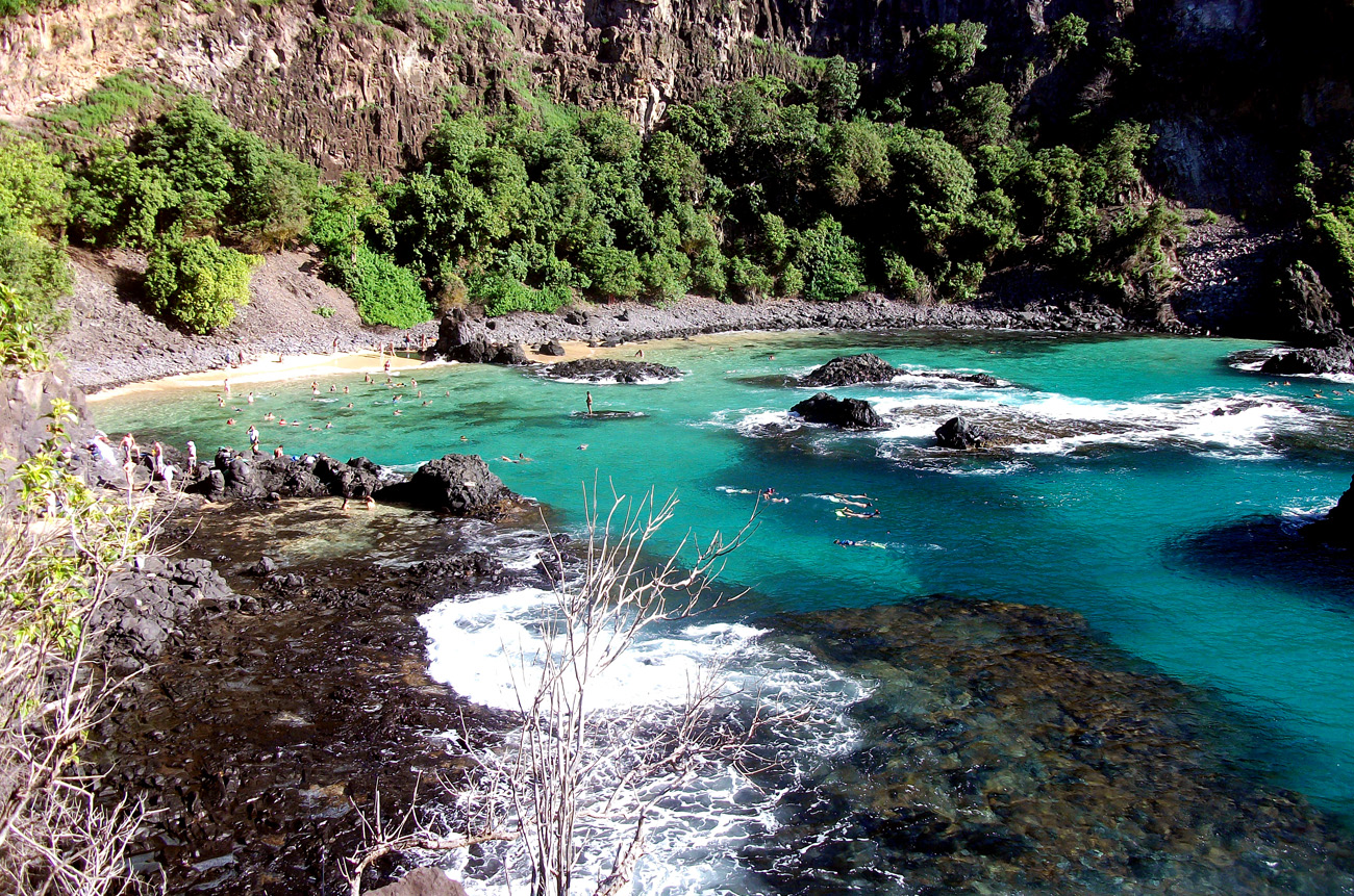 baia dos porcos - Fernando de Noronha