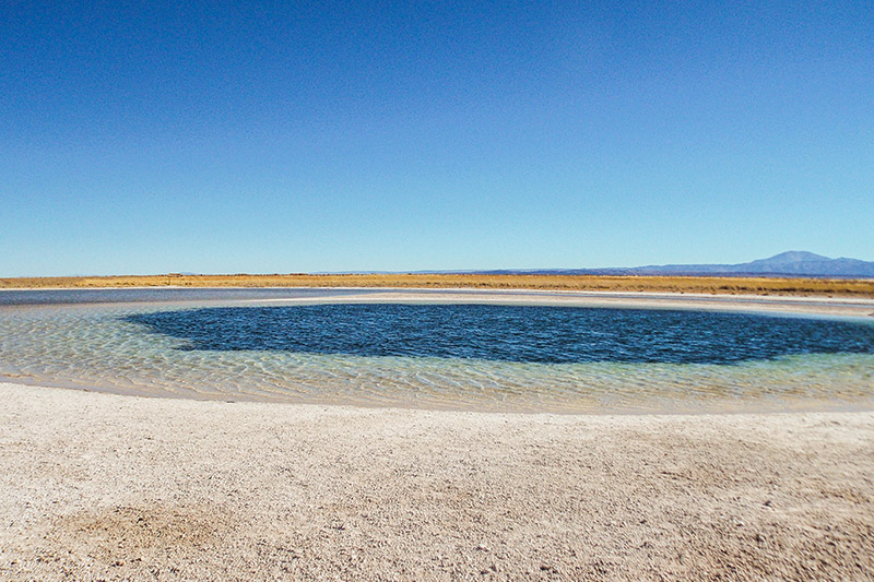 Laguna Cejar - Deserto do Atacama