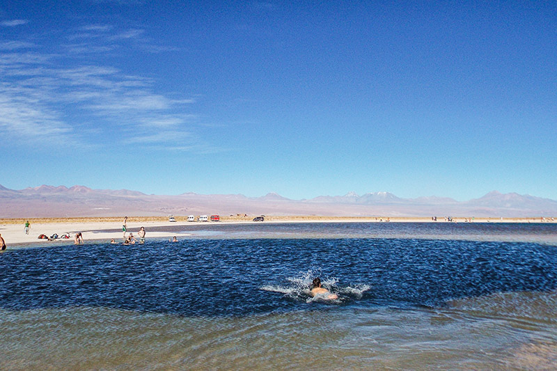 Laguna Cejar - Deserto do Atacama