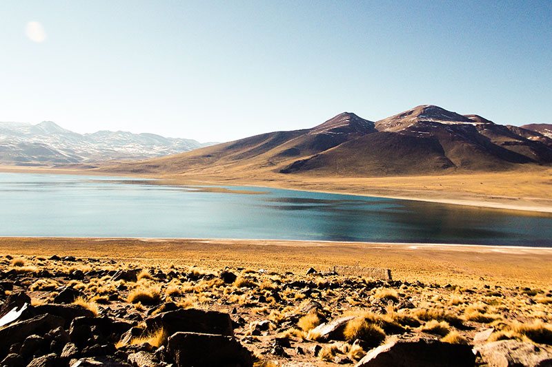 Lagunas Miñiques e Miscanti (Lagunas Altiplânicas)