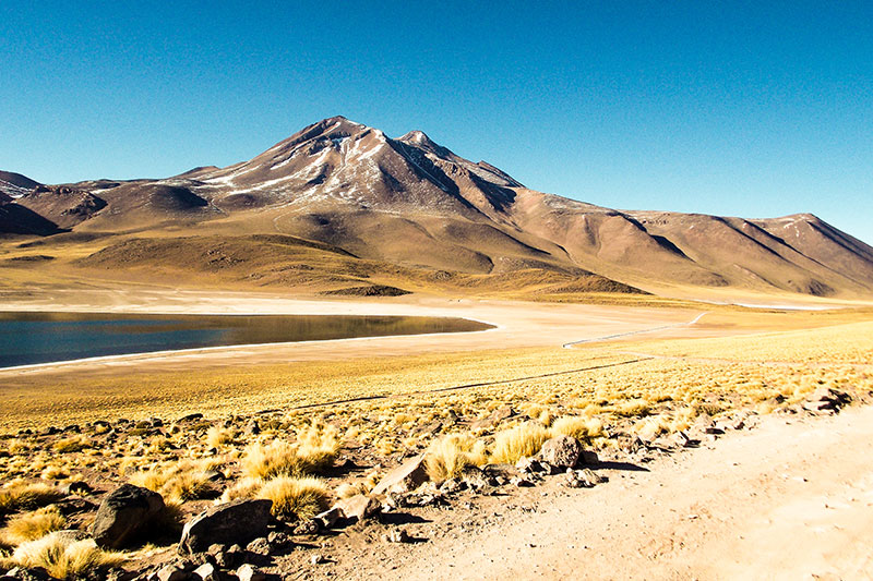 Lagunas Miñiques e Miscanti (Lagunas Altiplânicas)