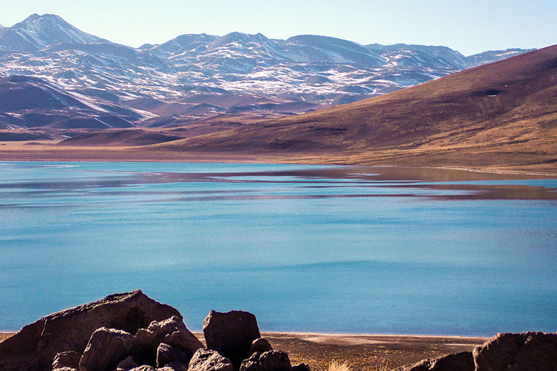 Lagunas Miñiques e Miscanti (Lagunas Altiplânicas)