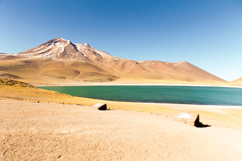 Lagunas Miñiques e Miscanti (Lagunas Altiplânicas)