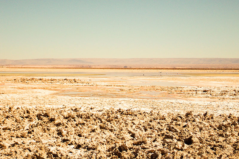 Salar de Atacama - Deserto do Atacama | Chile