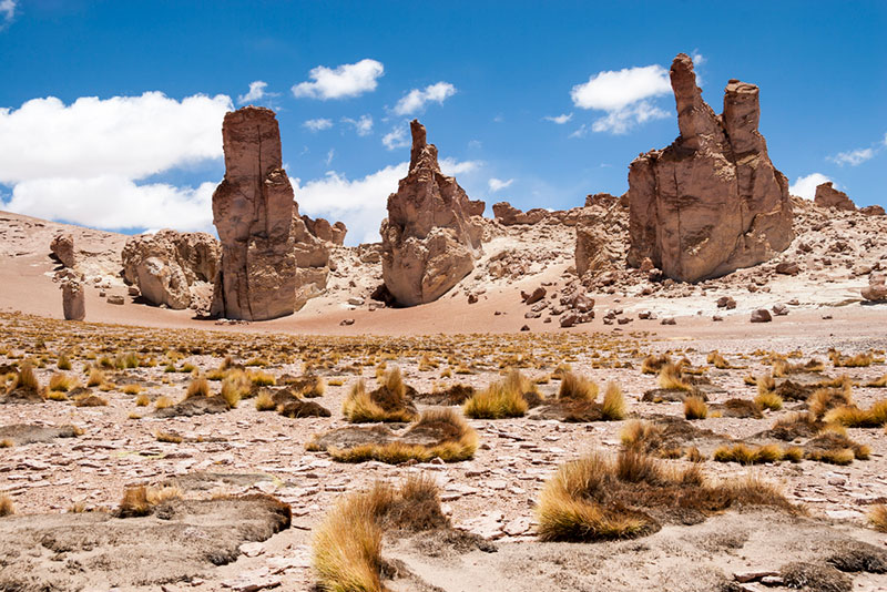 Salar de Tara - Atacama