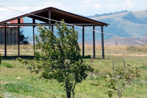 Fotos do Monte Roraima