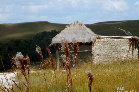 Fotos do Monte Roraima