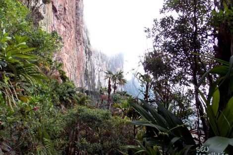 Imagens do Monte Roraima