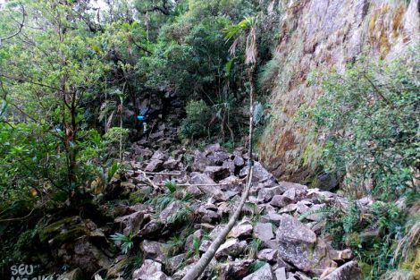 Imagens do Monte Roraima
