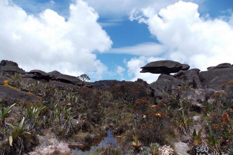 Imagens do Monte Roraima