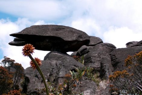 Imagens do Monte Roraima