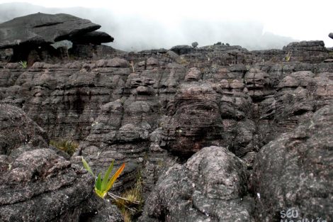 Monte Roraima
