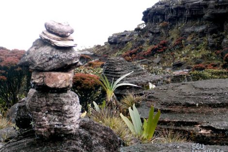 Topo do Monte Roraima