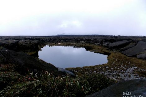 Topo do Monte Roraima