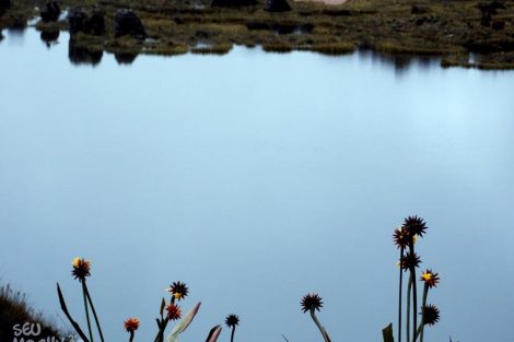 Topo do Monte Roraima