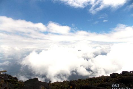 Topo do Monte Roraima