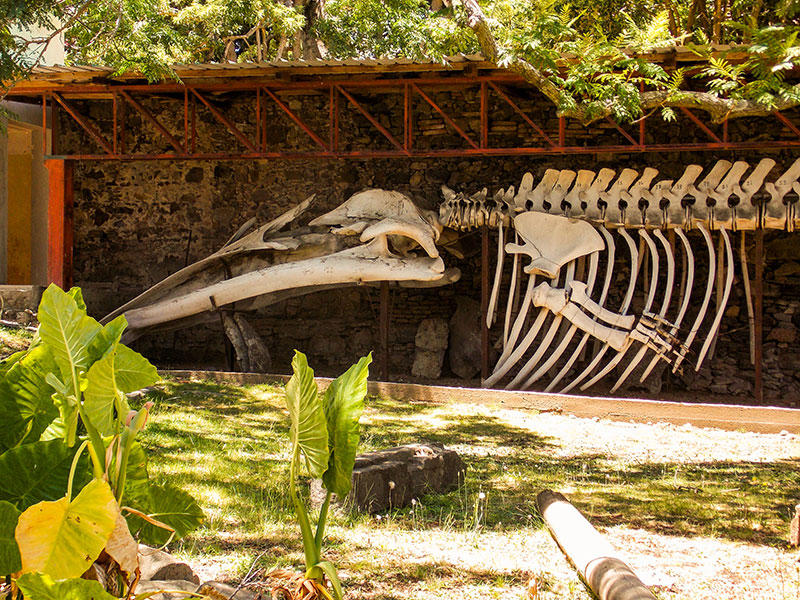 Museu Minicipal - Colonia del Sacramento | Uruguai