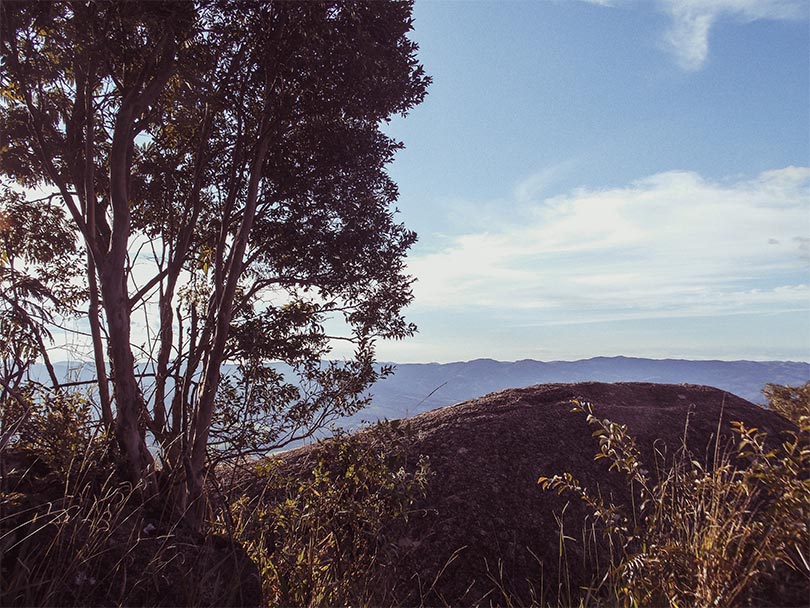 Pico do Lopo