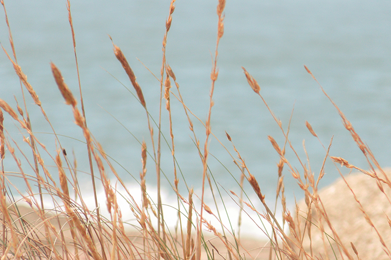 Punta del Diablo - Uruguai