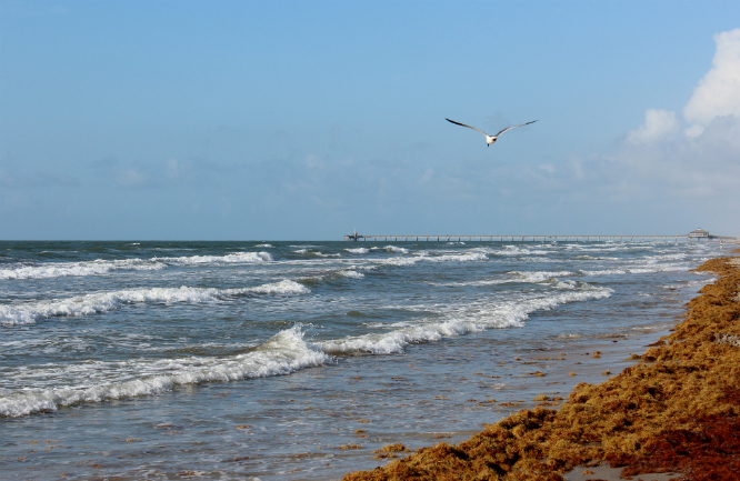 Padre Island