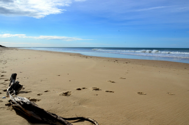 ninity-mile-beach-australia