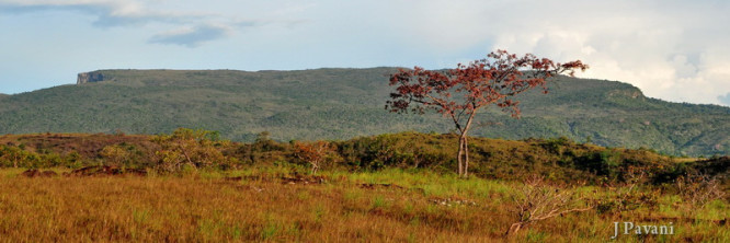 serra-do-tepequem