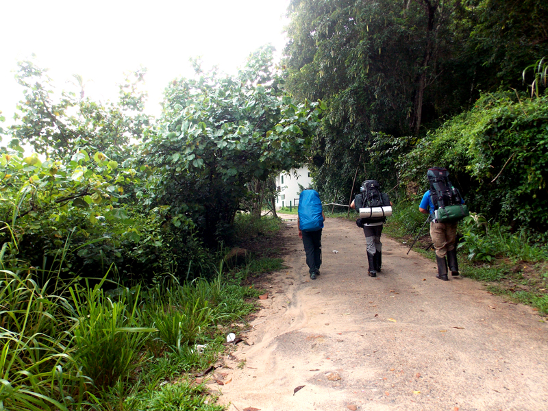 Trekking em Paraty-Mirim