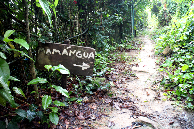 Saco do Mamanguá