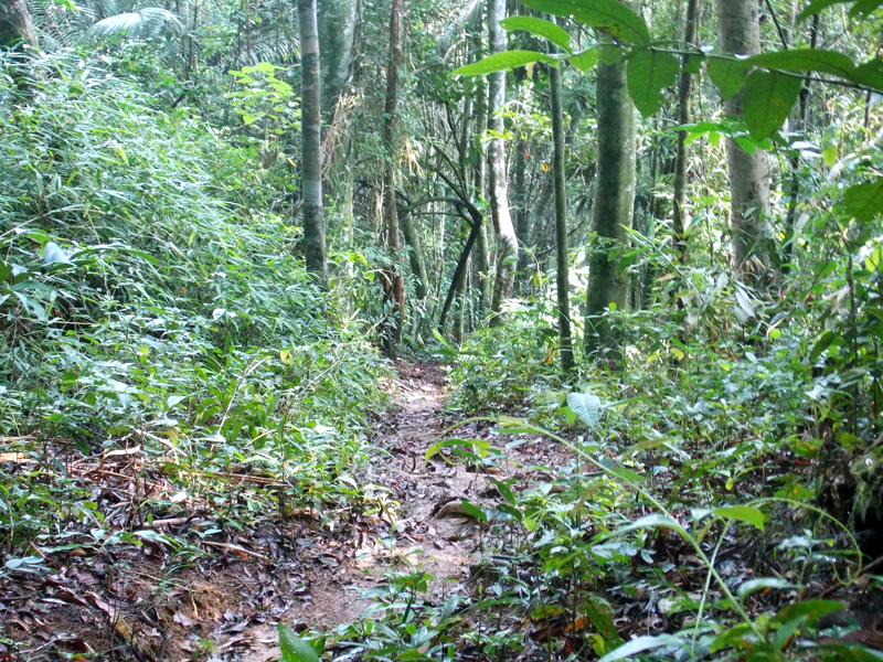 Saco do Mamanguá