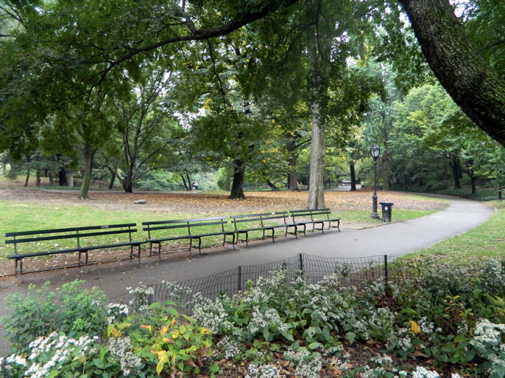 Central-Park9