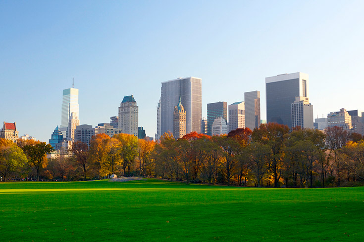 Sheep Meadow