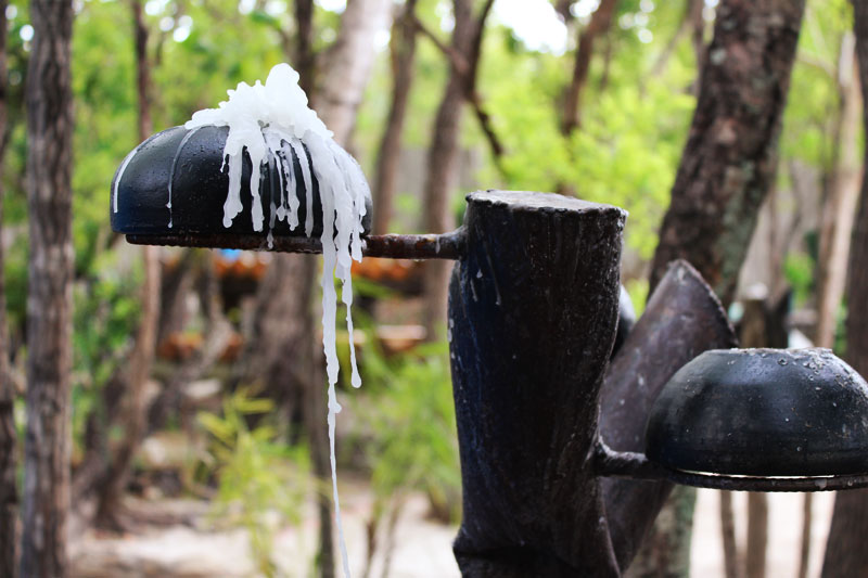 Camping Taiuá Ambiental - Chapada dos Veadeiros