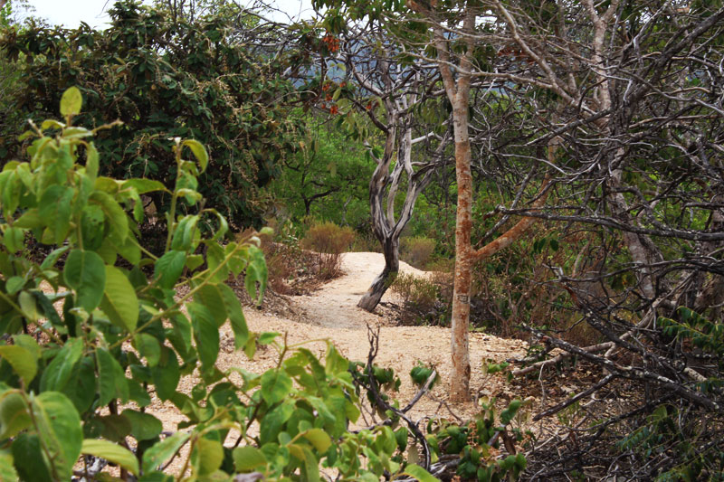 Parque Nacional da Chapada dos Veadeiros - Trilha Saltos