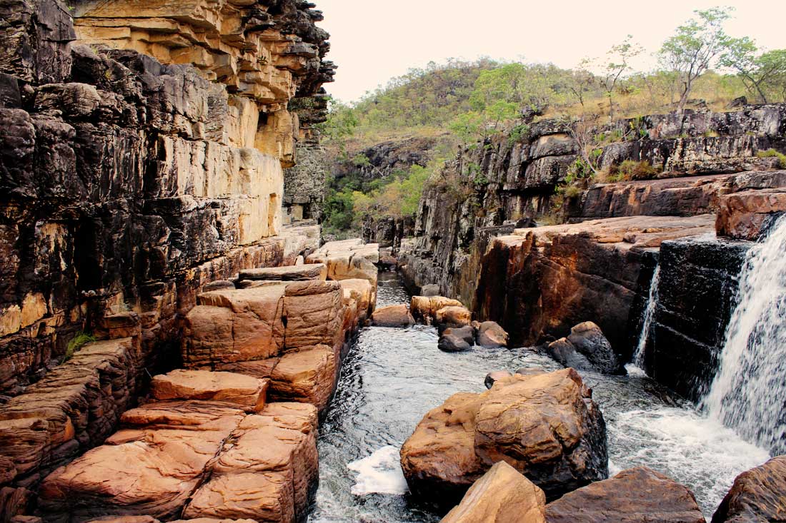 Carioca, Cânion e Seriema - Chapada dos Veadeiros