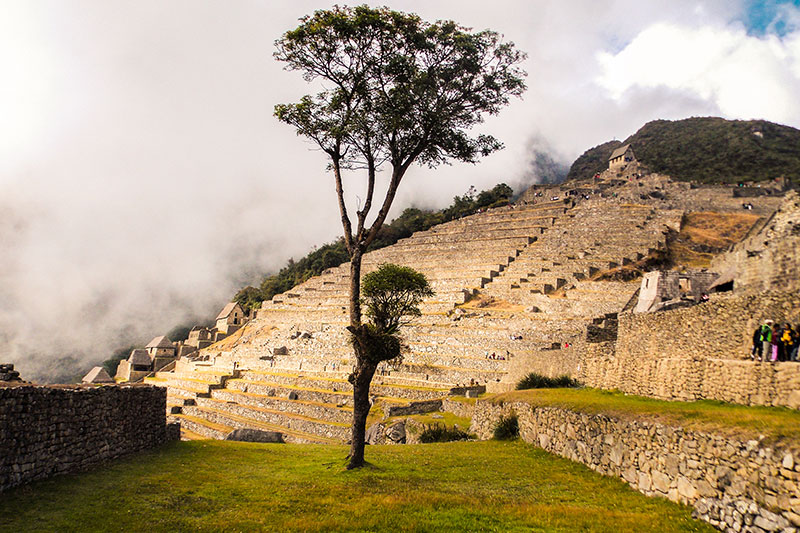 Zona Agrícola de Machu Picchu