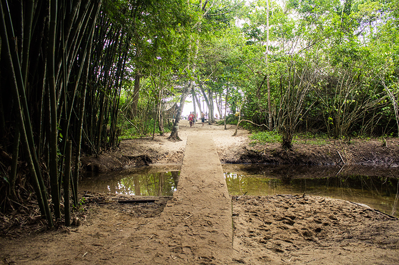 Praia Martim de Sá - Juatinga