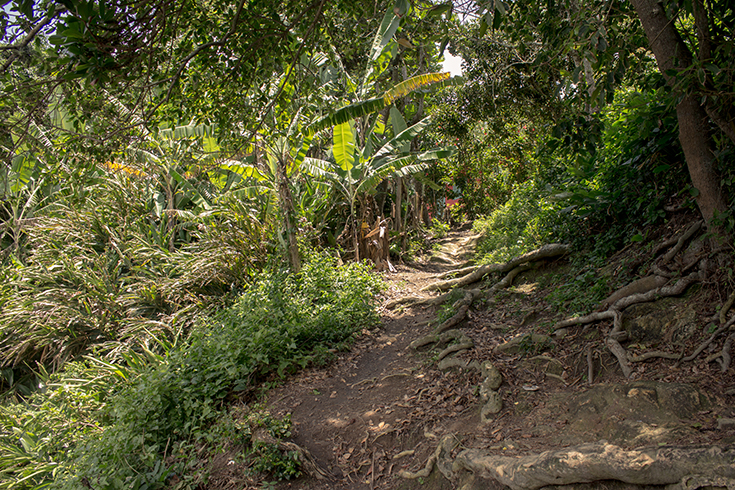 Ponta da Juatinga, a caminho do farol