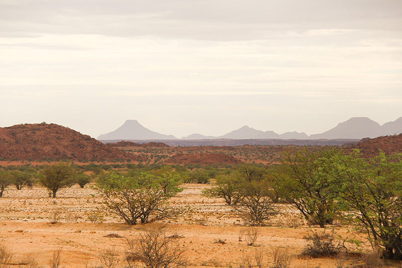 A caminho de Twyfelfontein