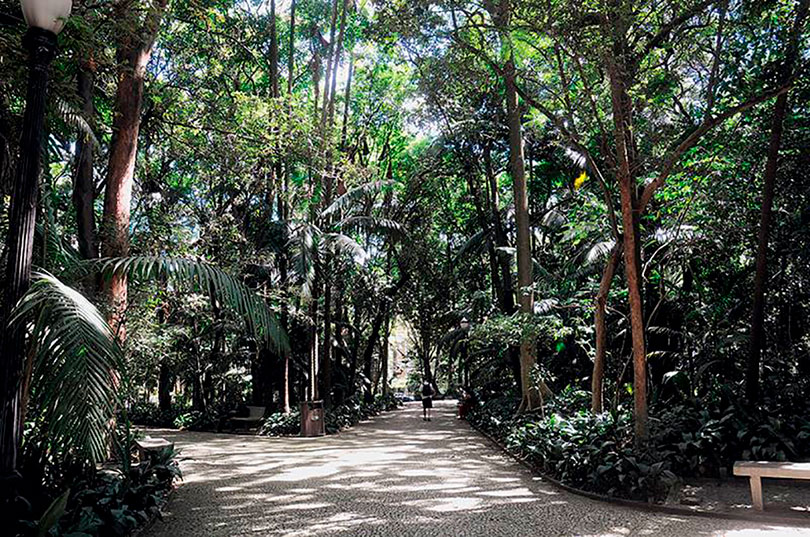 Parque Trianon - São Paulo