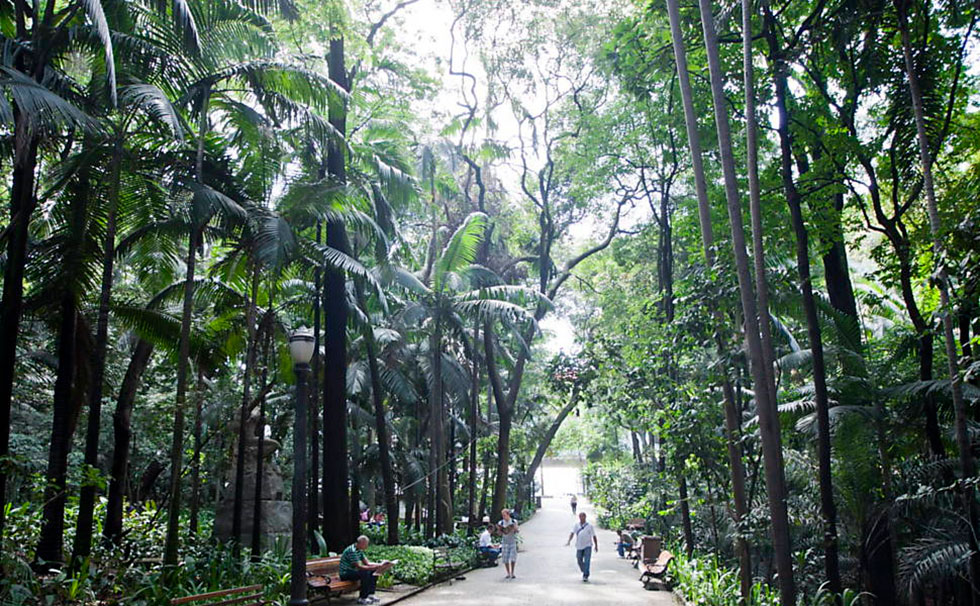 Parque Trianon - São Paulo