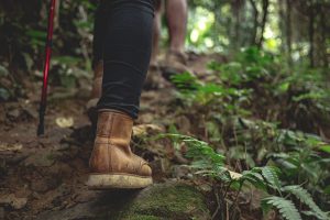 Parque Nacional do Itatiaia exige 'shit tube' para travessias