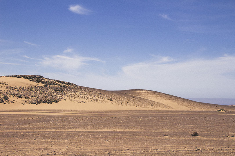 O deserto de ouro