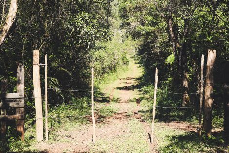 Trilha para a Pedra do Sapo